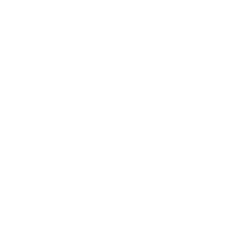 American Board of Plastic 