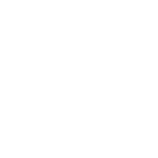 American Society of Plastic Surgeon's