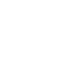 The Aesthetic Society